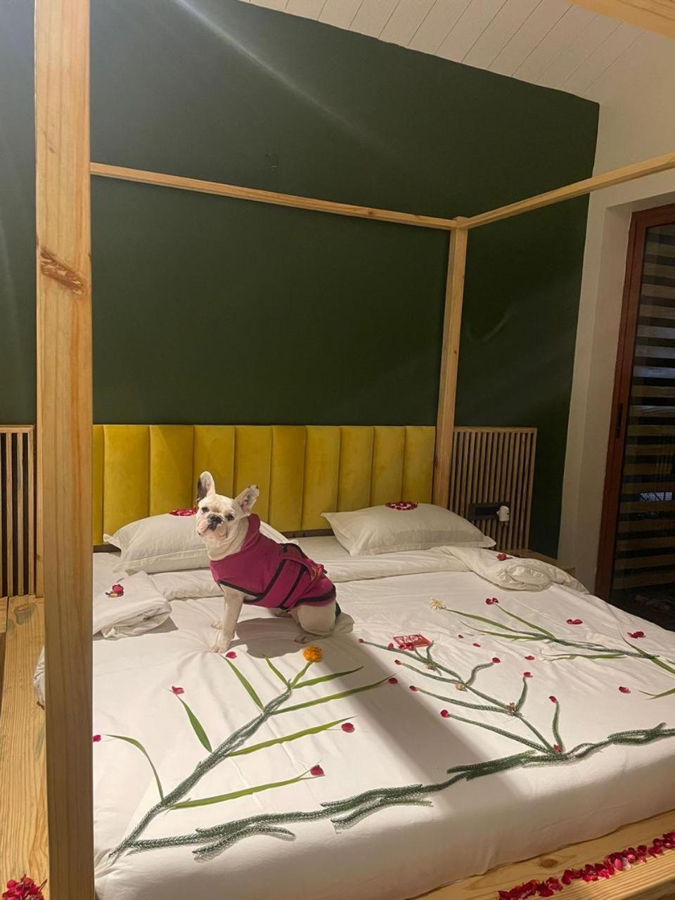 Rawai Luxury Tents Пушкар Экстерьер фото